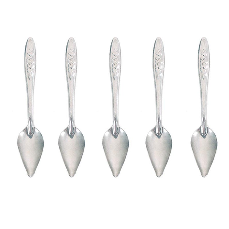 Bandelt 5 Pcs Stainless Steel Bird Parrot Feeder Spoon for Baby Birds, 4.7" - Image 1